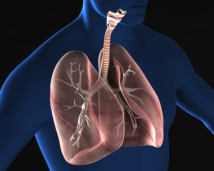呼吸器内科のイメージ画像